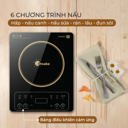 Ảnh của BẾP ĐIỆN TỪ YOAKE YK-IC920