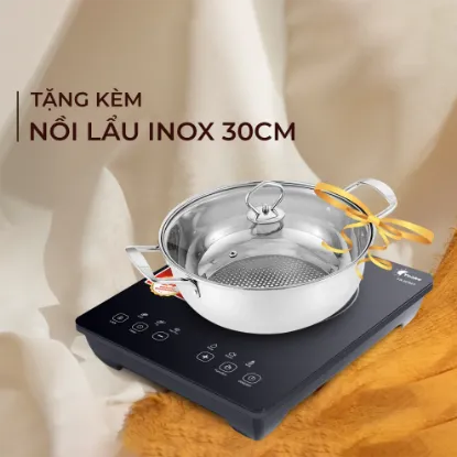 Ảnh của BẾP ĐIỆN TỪ YOAKE YK-IC921