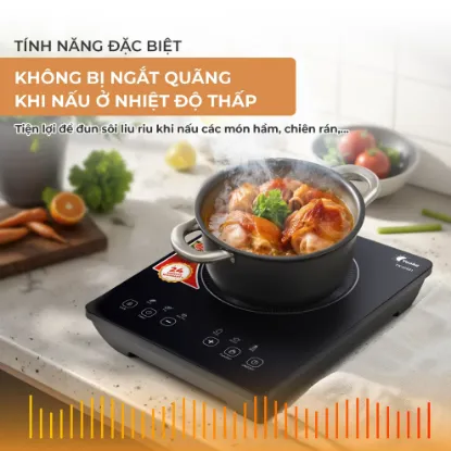 Ảnh của BẾP ĐIỆN TỪ YOAKE YK-IC921